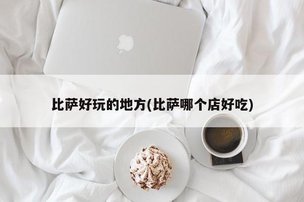 比萨好玩的地方(比萨哪个店好吃)