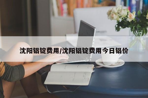 沈阳铝锭费用/沈阳铝锭费用今日铝价